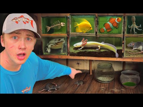 I Found an Abandoned House Full of Animals!