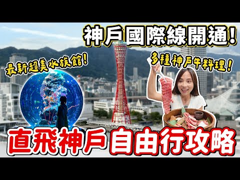 神戶國際線開通!神戶三天自由行懶人包,新開幕藝術水族館、在地人才知道的老字號樂園、必玩神戶港塔,每天晚餐都吃不同神戶牛料理,台中桃園都能直飛~|Haven在日本