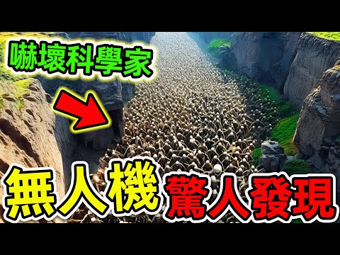 無人機最可怕的10個驚人發現!“骷髏峽谷”竟然真實存在?第一名無數科學家被嚇壞。|世界之最TOP