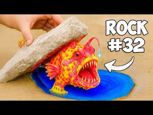 I Flipped 100 Rocks, Here’s What I Found...