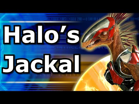 The Evolution of Halo's Jackals | The Evolution of Gaming Series