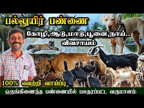 ஒருங்கிணைந்த பண்ணையில் கால்நடை வளர்ப்பு | பல்லுயிர் பண்ணை அமைப்பு | #Integratedfarming #Farmingideas