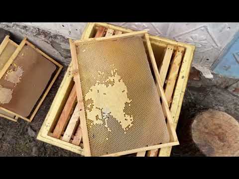 Зимівля пасіки! Як скласти бджіл щоб зимою спати спокійно!