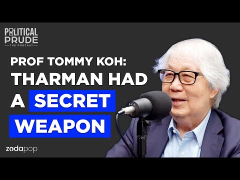 PE2023 RESULTS ANALYSIS with Prof Tommy Koh | Political Prude Ep 8