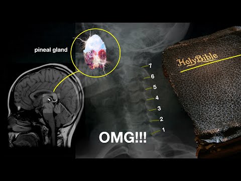 OMG! Why is nobody talking about this??? (Hidden Messages in the Bible)