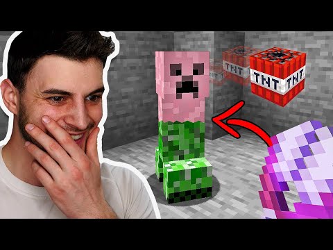 Minecraft, But You Can Shear Any Mob...