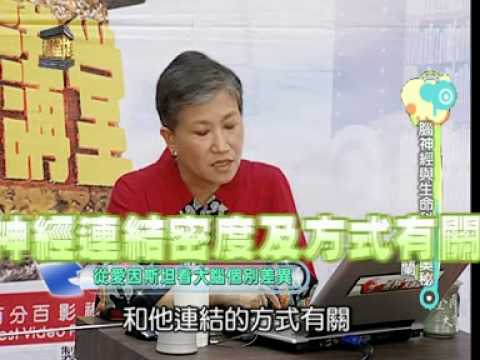 腦神經與生命科學的奧秘洪蘭