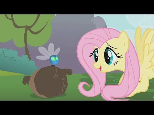 My Little Pony: Friendship Is Magic: Season 1, Episode 10 (Swarm of the Century)