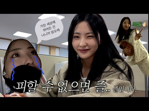 직장인 VLOGㅣ퇴근 전 후로 나뉘는 직장인의 하루☁️ㅣ꽤 쓰네.. 월요병🥱ㅣ뉴 도시락통ㅣ인생 첫 바지락 손질🦪ㅣ주말 룩북 여정ㅣ떡국,유부초밥ㅣ가을 하의 언박싱📦ㅣ구독자 이벤트💖