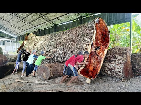 Kayu trembesi dari tengah hutan angker bernilai milyaran ! digergaji jadi papan meja solid I Sawmill