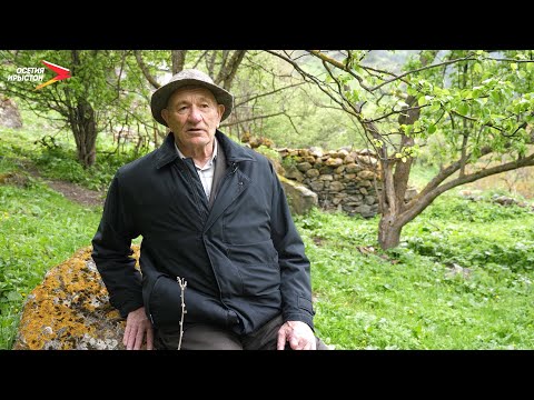 Фыдӕлтыккон таурӕгътӕ | Фыдӕлты уӕзӕгмӕ