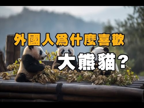 大熊猫:为何全球争相租借中国大熊猫?日本对大熊猫热爱程度简直逆天