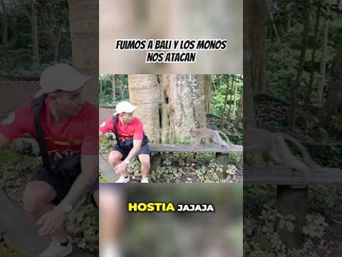 NOS ATACAN LOS MONOS 😱🙈