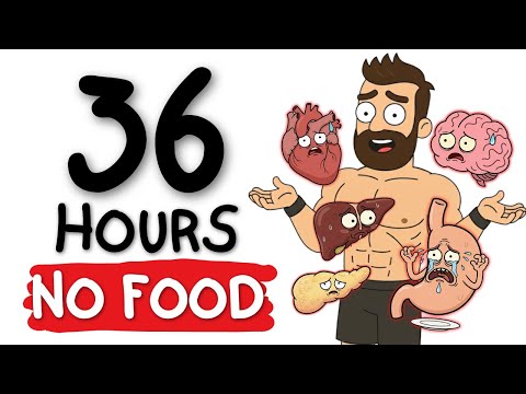 Your Organs During a 36 Hour Fast (They Werenβt Ready)