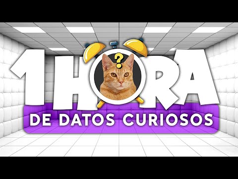 1 HORA de DATOS CURIOSOS ASOMBROSOS! 🤯