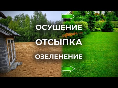Отсыпка участка песком и озеленение| Посевной газон