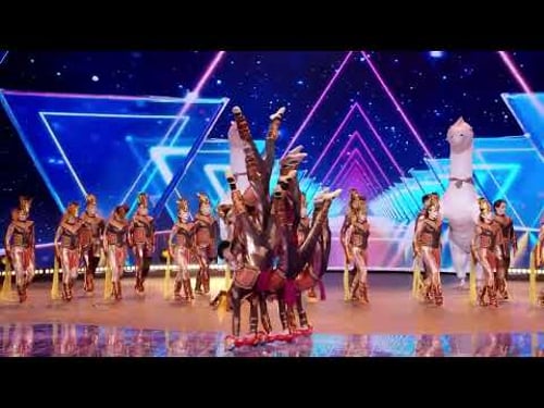 High-flying "Dancing Horse" acrobatics stun audience