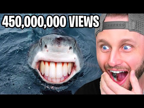 Most Viral Videos on TikTok!