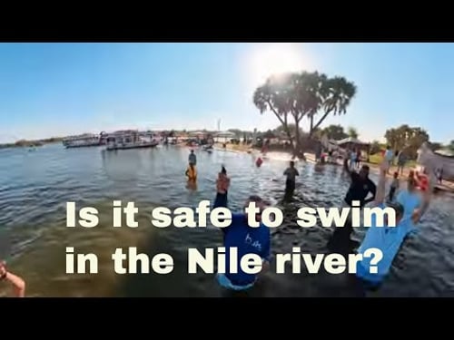 Are You Brave Enough to Swim in the Nile River?