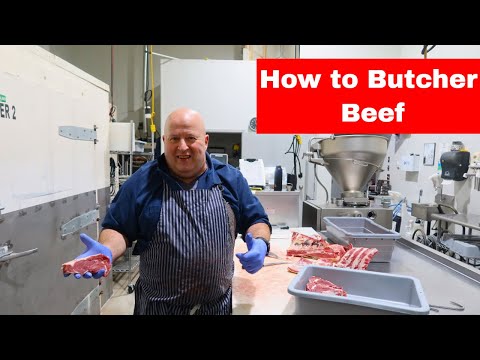 How to Butcher a Beef, Step by Step, the Entire Breakdown.