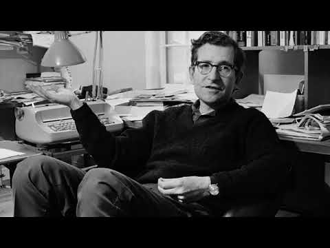 Young Noam Chomsky on America (1978)