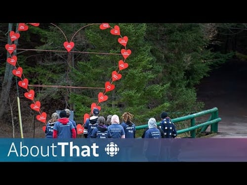 Key moments from the Nova Scotia Mass Casualty Commission | About That