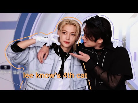 lee know has a soft spot for felix