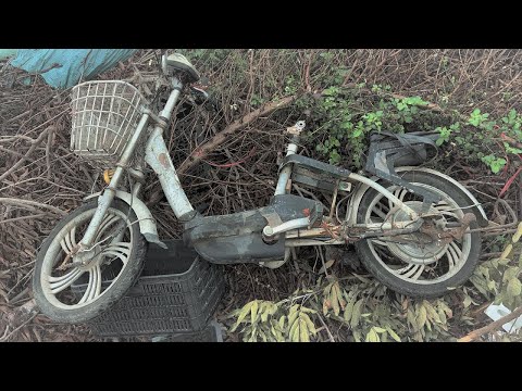 We Bought And Restored A Broken Old Electric Bike From A Junkyard // Best Bike Restoration Skills