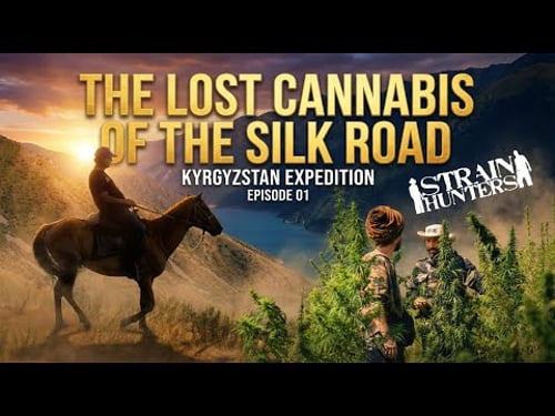 Strain Hunters | Kyrgyzstan Expedition - Episode 1