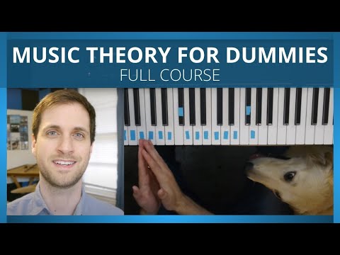 Music Theory For Dum-Dums 🎵 FULL BEGINNER COURSE 🎵