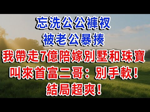 忘洗公公褲衩 被老公暴揍!我帶走7億陪嫁別墅和珠寶 叫來首富二哥:別手軟!結局超爽!#琴琴講故事 #為人處世#生活經驗#情感故事#晚年哲理#說故事#完結文