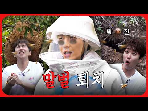 That Wasp Tried to Take Us Out…🐝 | Wasp Removal Job | Workman | Lee Joon · DinDin