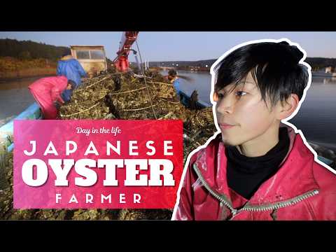 Day in the Life of a Japanese Oyster Farmer