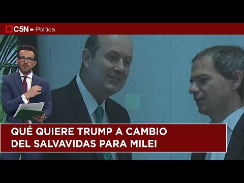 Editorial de ALE BERCOVICH en LA LEY DE LA SELVA | 22-9-25