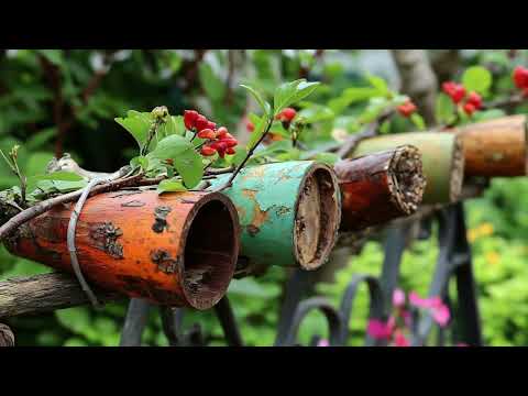 This Simple Upcycled Branch Art Hack Transforms Boring Gardens Into Affordable Rustic Masterpieces