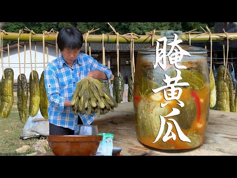 Cucumbers are covered with branches and vines, mother picks 20 catties of pickled cucumbers!