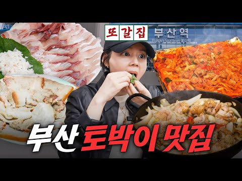 한가인이 부산 토박이들 추천 받아서 갔다가 결국 택배까지 시킨 찐맛집