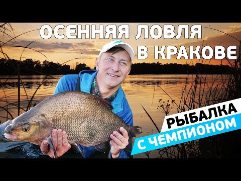 Фидерная ловля осеннего леща на реке Висла! Рыбалка с чемпионом!