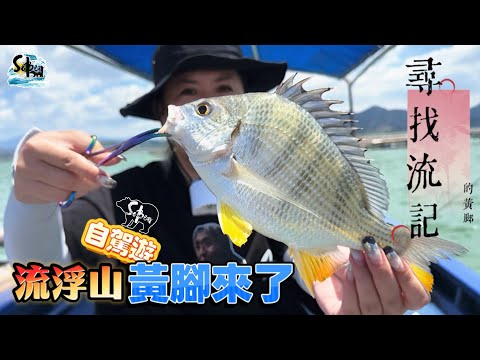 流浮山自駕艇|尋找香港的黃腳|遇正初一大流密密手過足癮|#sobear #黃腳鱲 #流浮山 #4k
