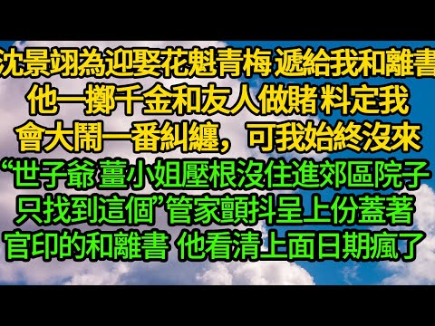 沈景翊為迎娶花魁青梅,遞給我和離書,他一擲千金和友人做賭,料定我會大鬧一番糾纏,可我始終沒來“世子爺 薑小姐壓根沒住進郊區院子,只找到這個”管家顫抖遞上份蓋上官印的和離書。他看清上面日期瘋了