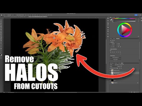 How to Remove Halos from Cutouts in Photoshop