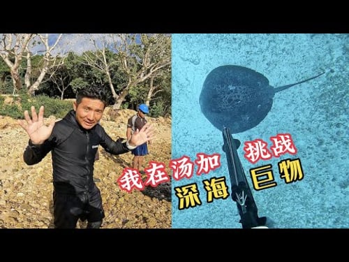 《汤加》第8天:我说这上百斤的深海巨物是我打的,你们信吗?#旅行 #旅行攻略 #环球旅行 #渔猎#汤加
