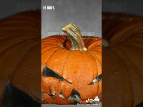 Jack-o-lantern Time Lapse