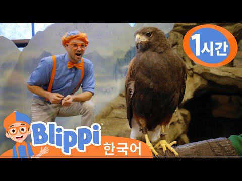 블리피와 동물원에서 동물들에게 먹이 주고 놀기 외 4편 | 어린이 과학 교육 | 블리피 한국어 | 어린이 교육 동영상