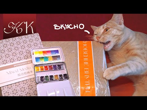 Распаковка ОГРОМНОЙ Посылки СЮРПРИЗА // НОВЫЕ Арт Материалы от Красного Карандаша