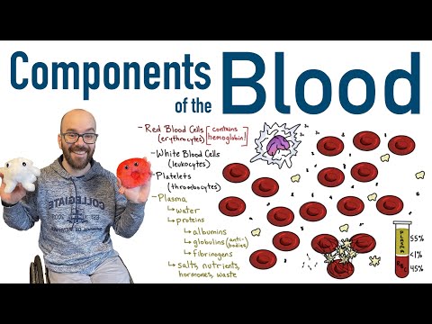Components of Blood