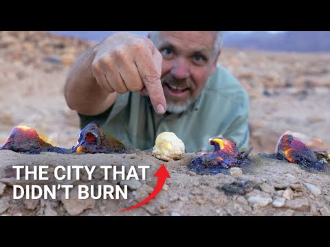 Sodom burned—Zoar did NOT: The full story of the discovery of the Cities of the Plain!