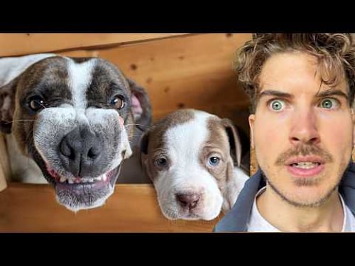 Is she trying to kill her puppy?!