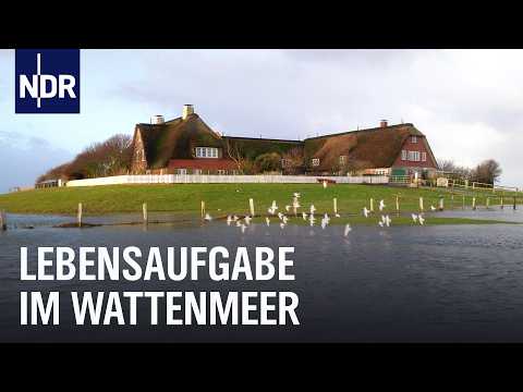 Die Familie von Hallig Süderoog | die nordstory | NDR Doku
