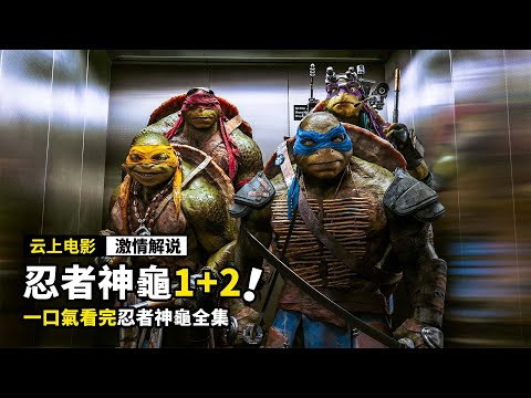 一口氣看完《忍者神龜》兩部曲全集,烏龜被老鼠養大,居然成爲超級英雄!